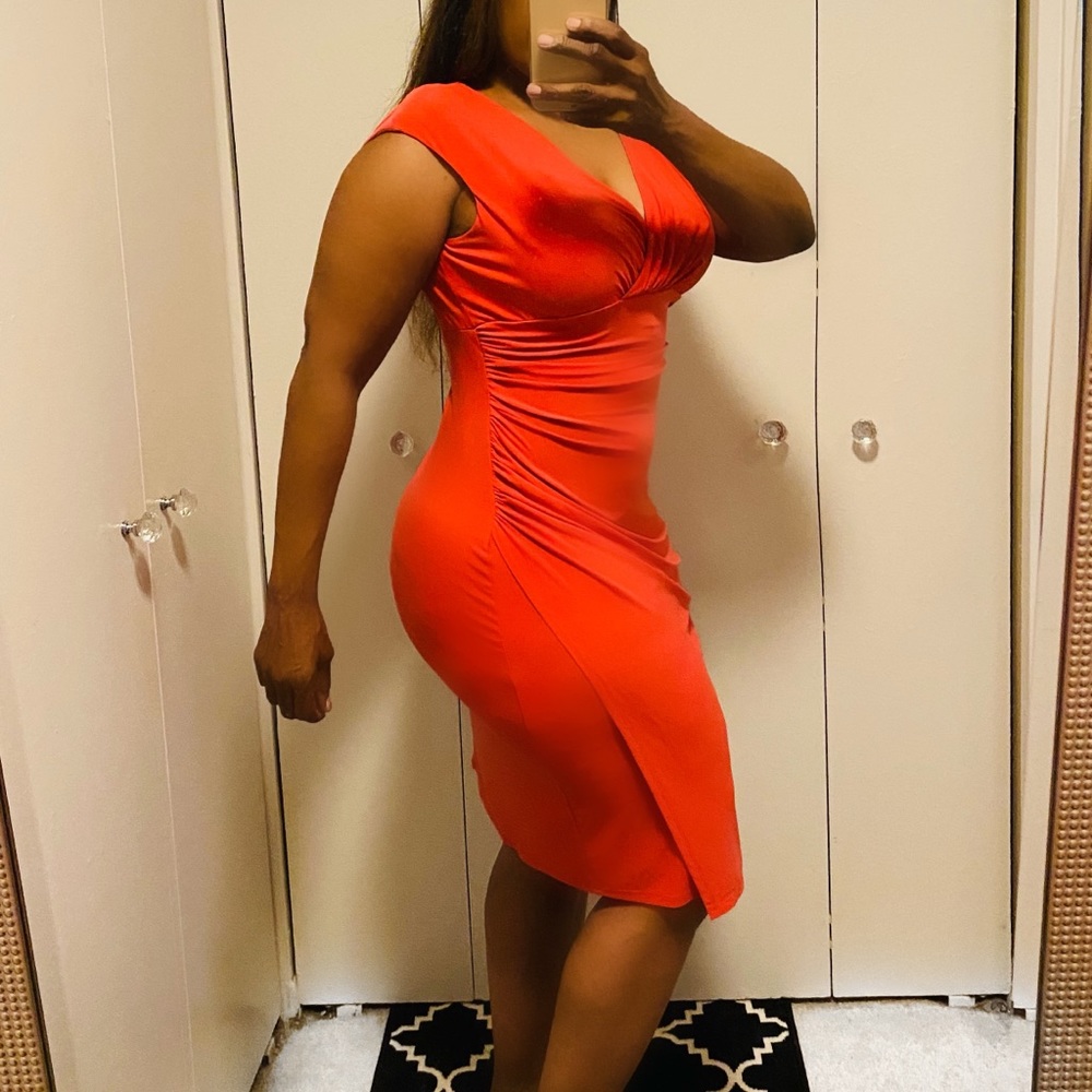 America Living Dress Size 16